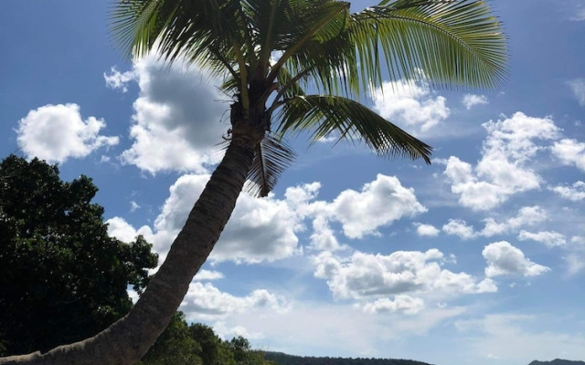 Magalong Beach Resort