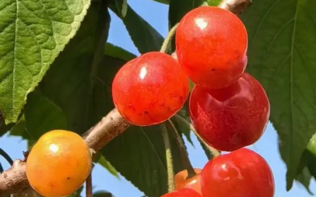 Shanghai Lazy Tiger Tribe B&B