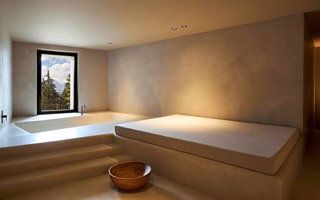 Forestis Dolomites Hotel