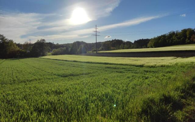 Abschalten am Albsteig in Albbruck im Süd-Schwarzwald großzügige Ferienwohnung