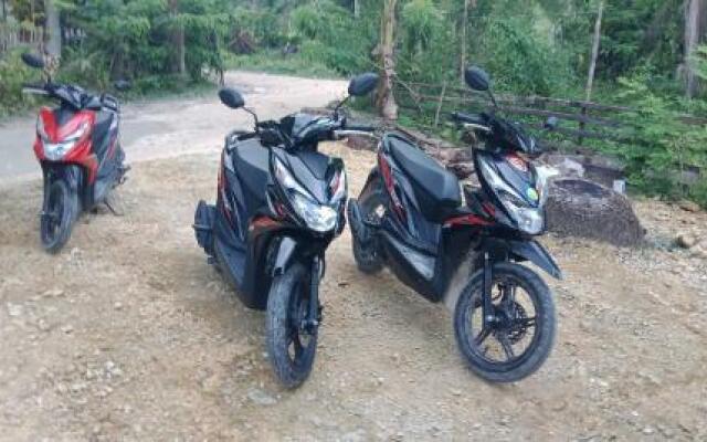 Asteria's Backpackers Siargao