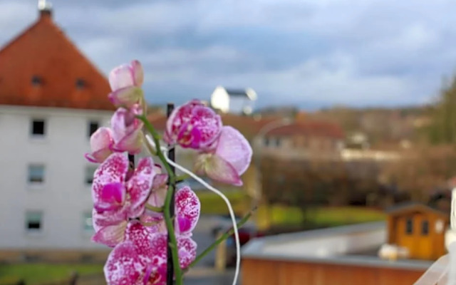 Gasthof Grüner Baum