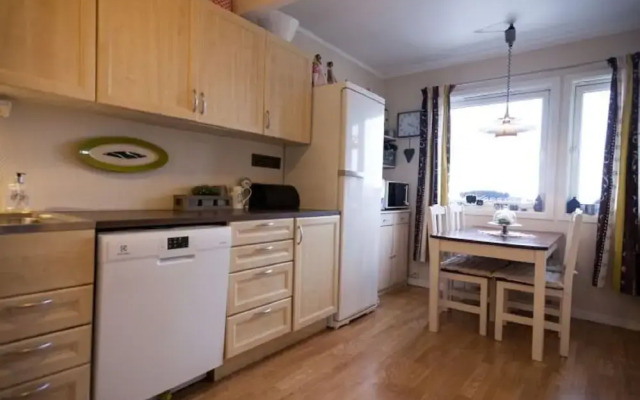 Solferie Holiday Apartment Epleveien