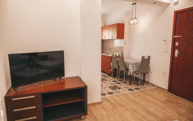 Comfortable apartment in the city center