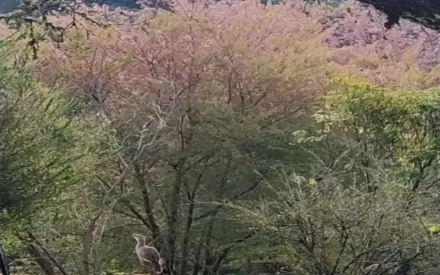 Pousada Terra Fria