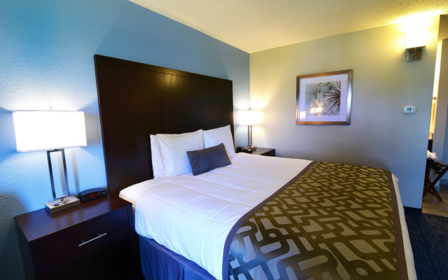 Best Western Plus Flint Airport Inn & Suites