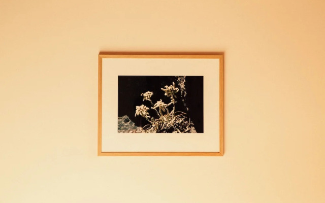 Tanafreida Apartments