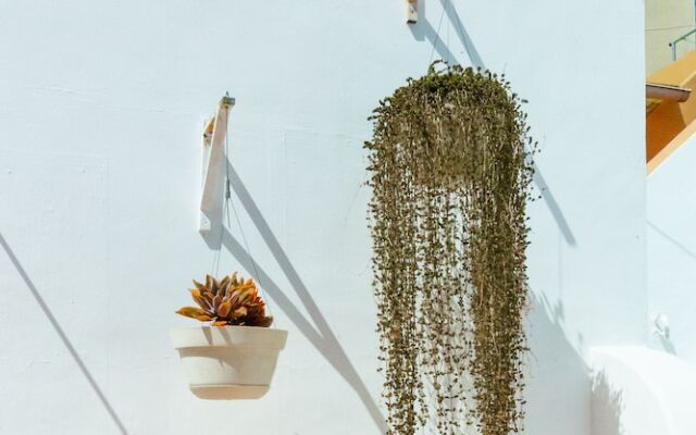 Guesthouse Casa Doña Carmela - Adults Only