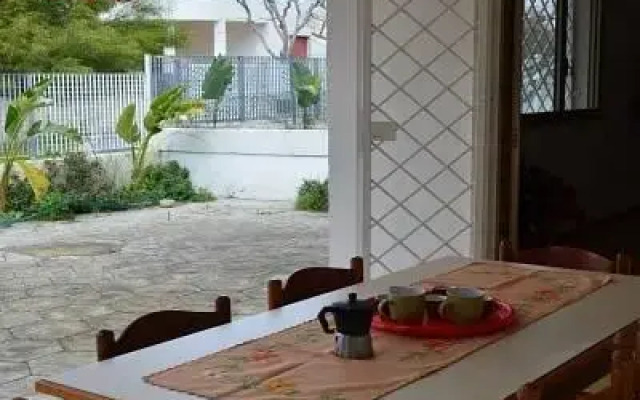 Sasinae - Villa Via N3