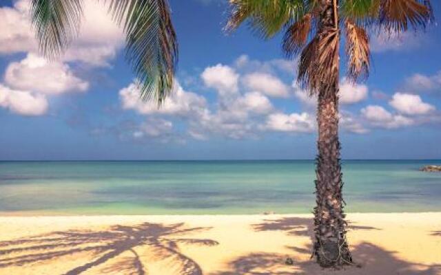 Only 350 yards from Eagle beach! Breakfast included!