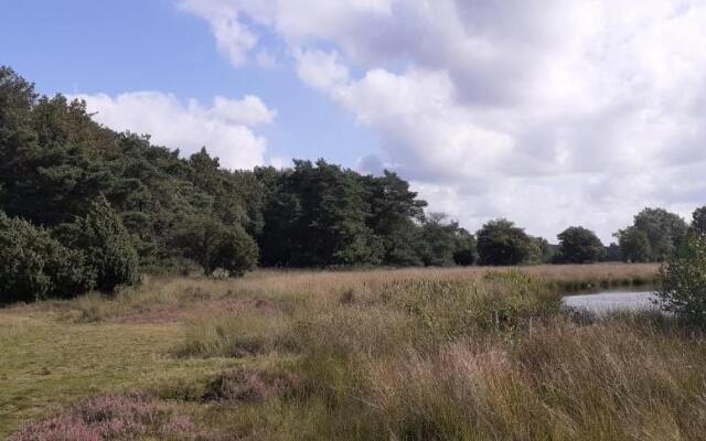 Drentse bungalow in natuur en rust