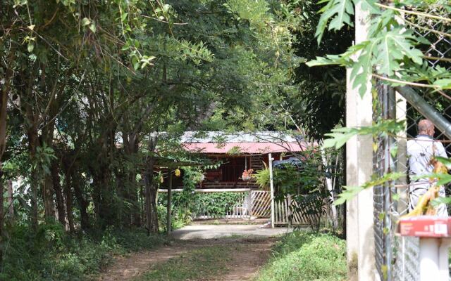 Hospedaje Los Pinos, Cabaña en Minca