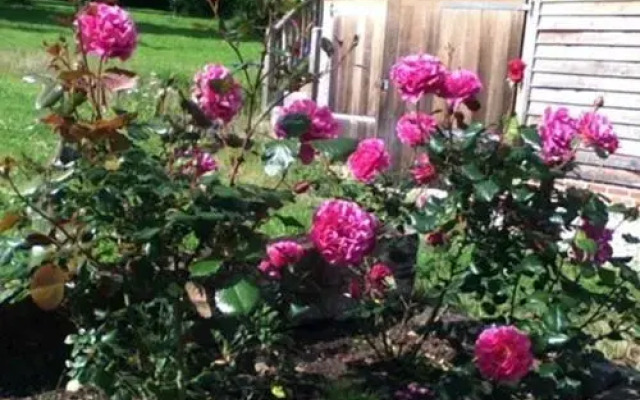 Rosebank Bed & Breakfast