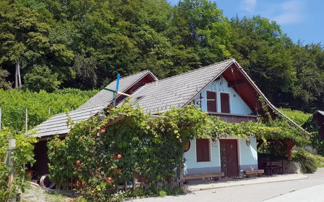 Zidanica Meglič - Vineyard cottage Meglič