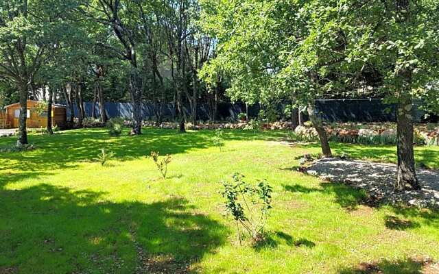 Les Lézards au Soleil