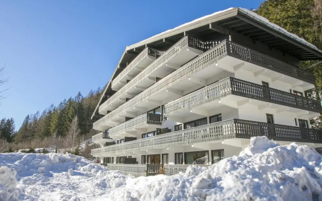 R Sidence Androsace 53