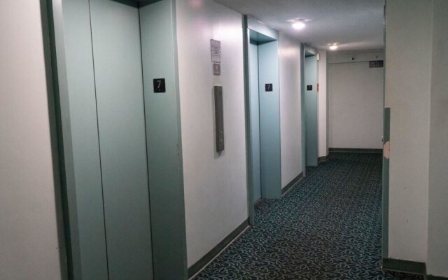 Hawaiian Monarch #708