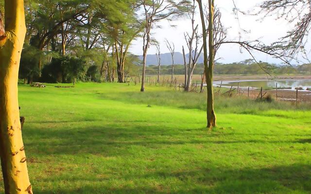 Oasis Eco Camp