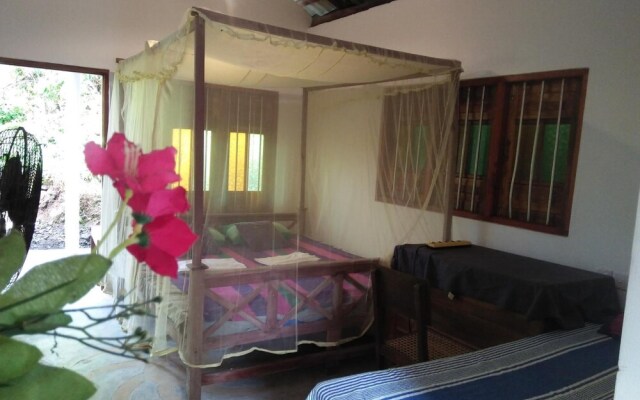 Jungle house