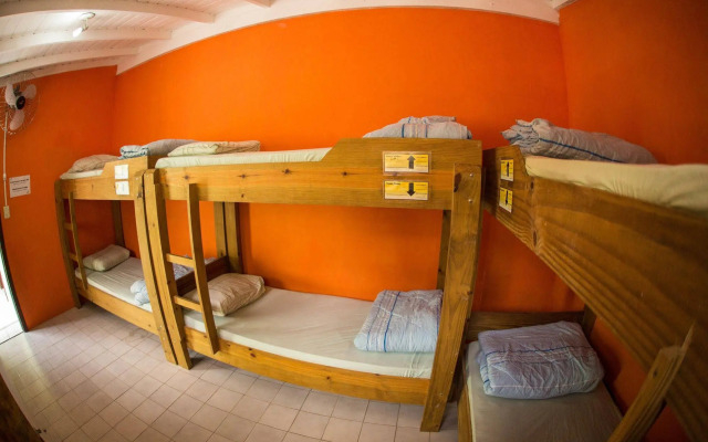 Geckos Hostel