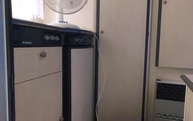 Mobile Homes Surrounded by Greenery