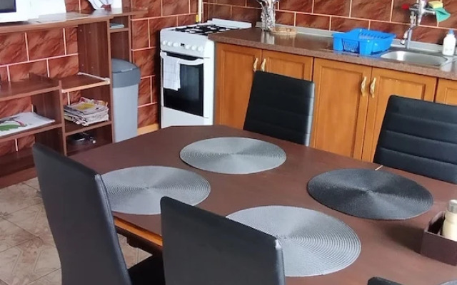 Lucky Cat
