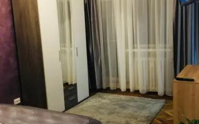 Alecsandra S Apartment Ultracentral