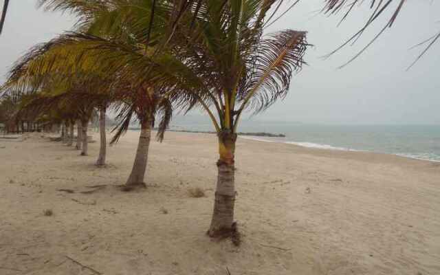 Puri Ansell