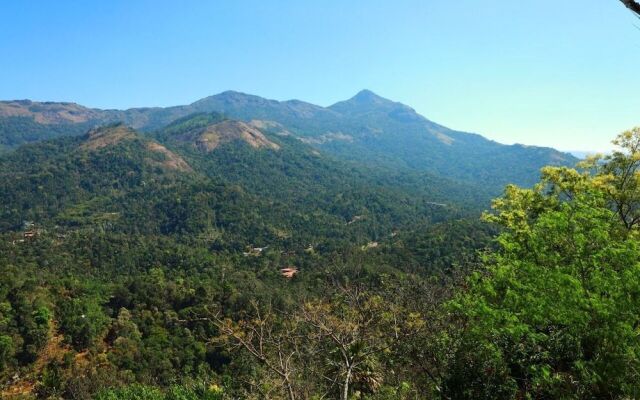 Foggy Dreamz Munnar