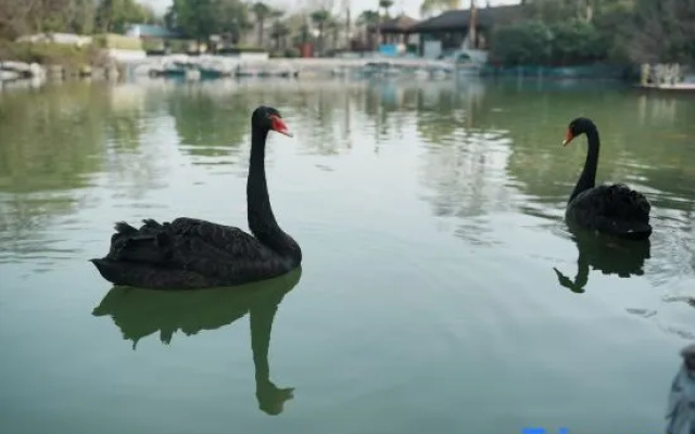 Slender West Lake Songcheng  Hotel – Outside – Yangzhou