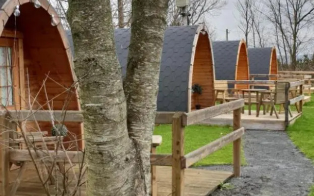 Glamping at Treegrove