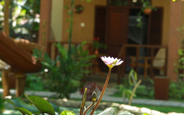 Lime Cabanas Sri Lanka