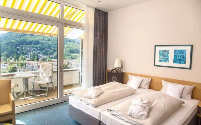 Schwarzwald Panorama