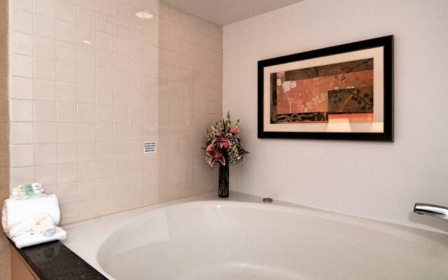 Comfort Inn Metro Airport