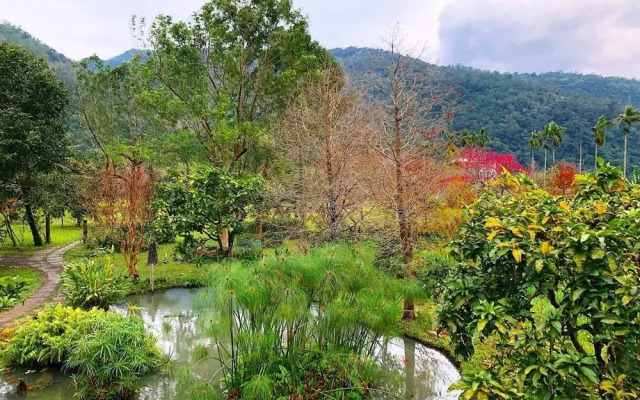 Suyen B&B