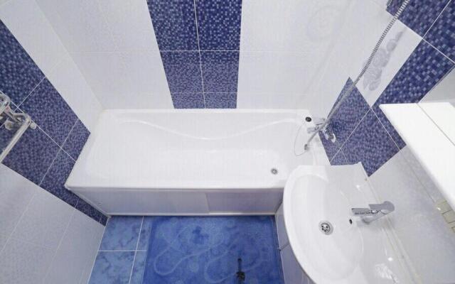 Apartment on Sichovyh Striltsiv