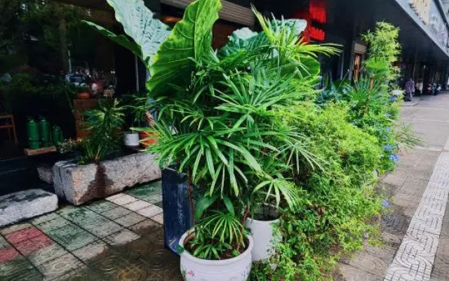 Ruoyin Hostel