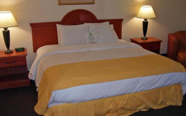Comfort Inn & Suites Airport