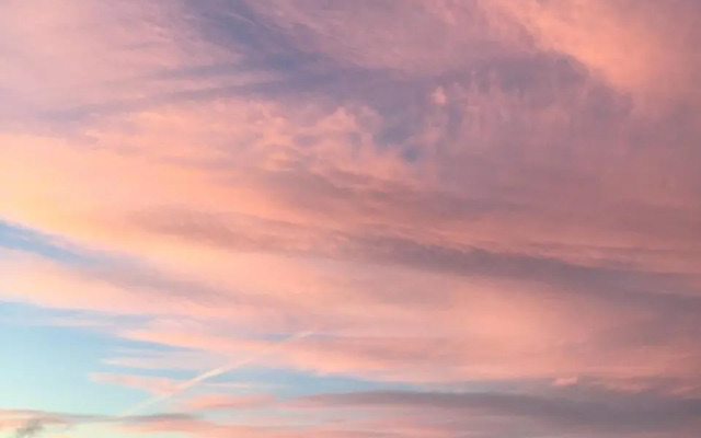 Penguin Seaside Homestay