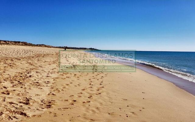 Apartamento T2 Salgados