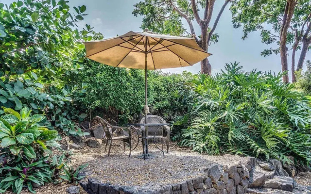 Kona Mansions Ocean Views & Amenities!