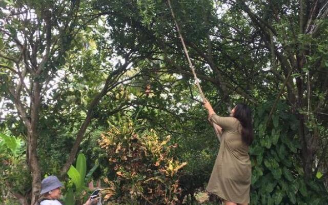 Baan Loylom Farmstay