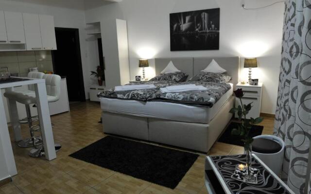 Apartment Jovana Nikšić