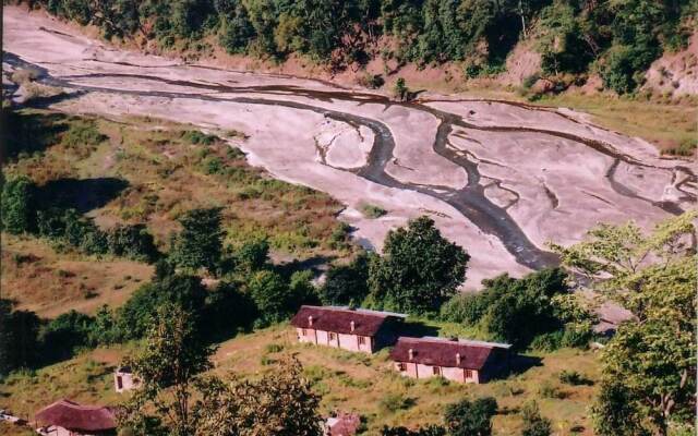 Wild Brook