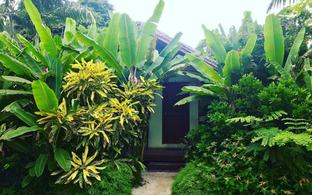 Tanna Evergreen Resort & Tours