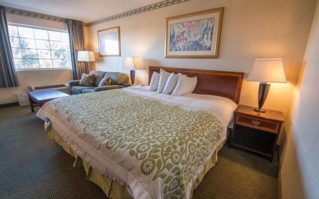 莱瑟姆戴斯套房酒店/北阿尔巴尼(Albany Airport Hotel)