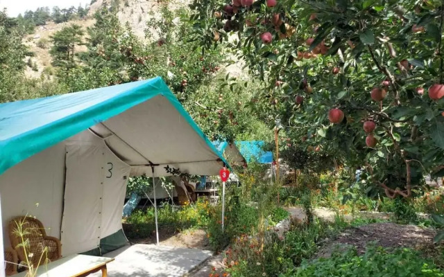 Apple Orchard Farm and Camping