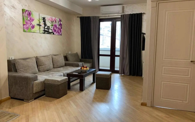 Comfortable apartment in center