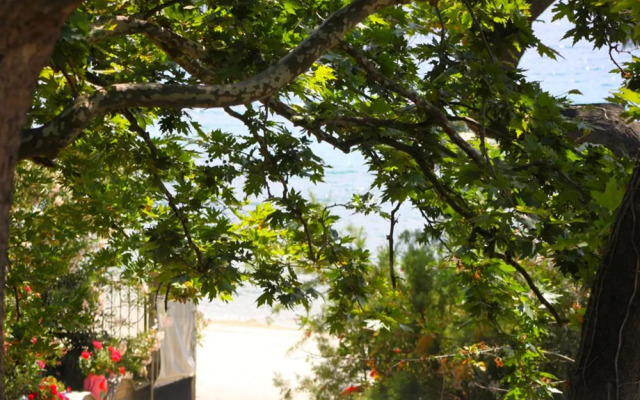 Platanofylla Studios & Apartments