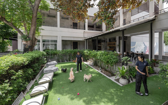 Ketawa Pet Friendly Hotel